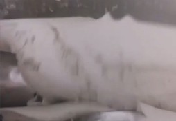 1000L色母粒捏合機(jī)